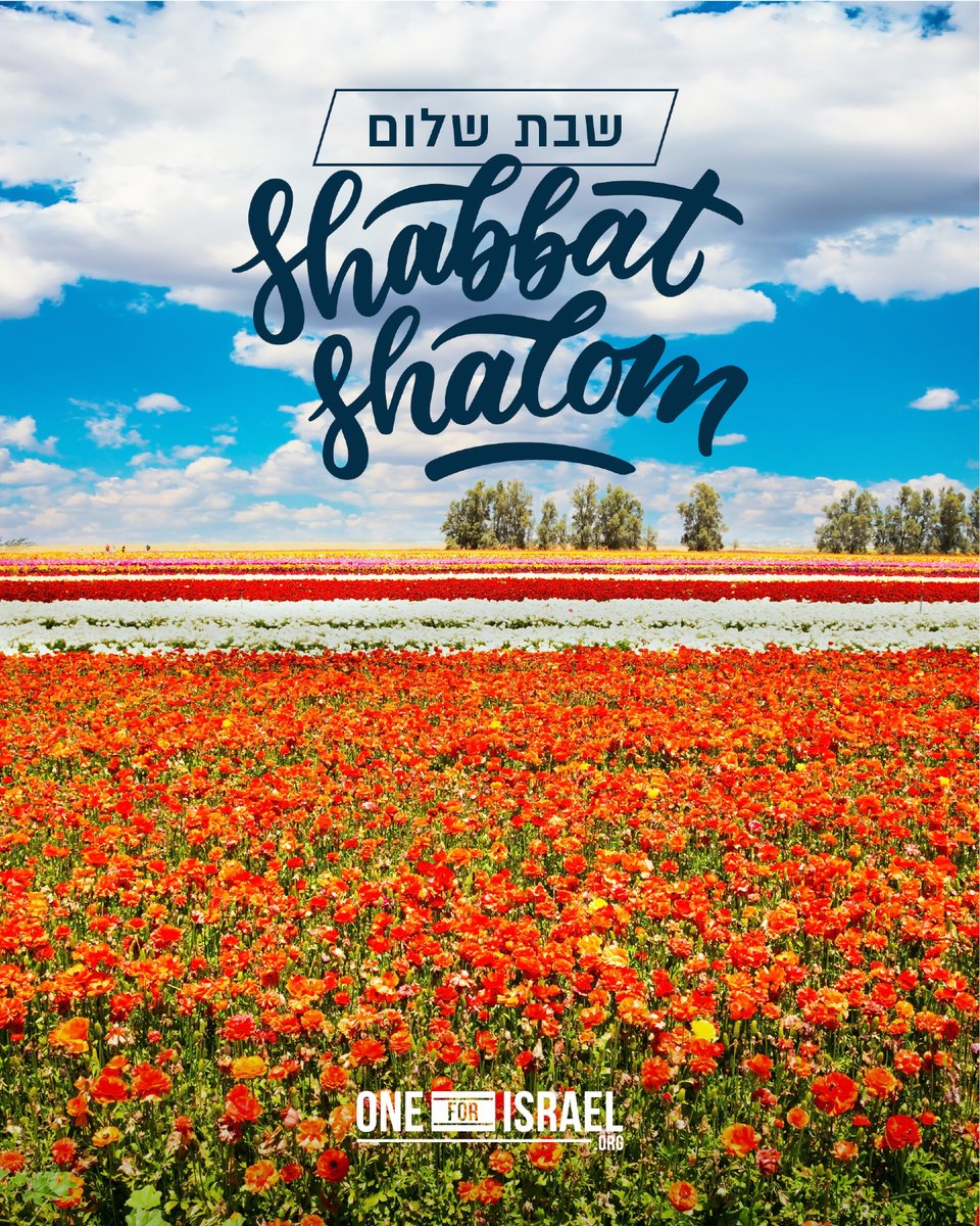 ONE FOR ISRAEL Ministry tweet media