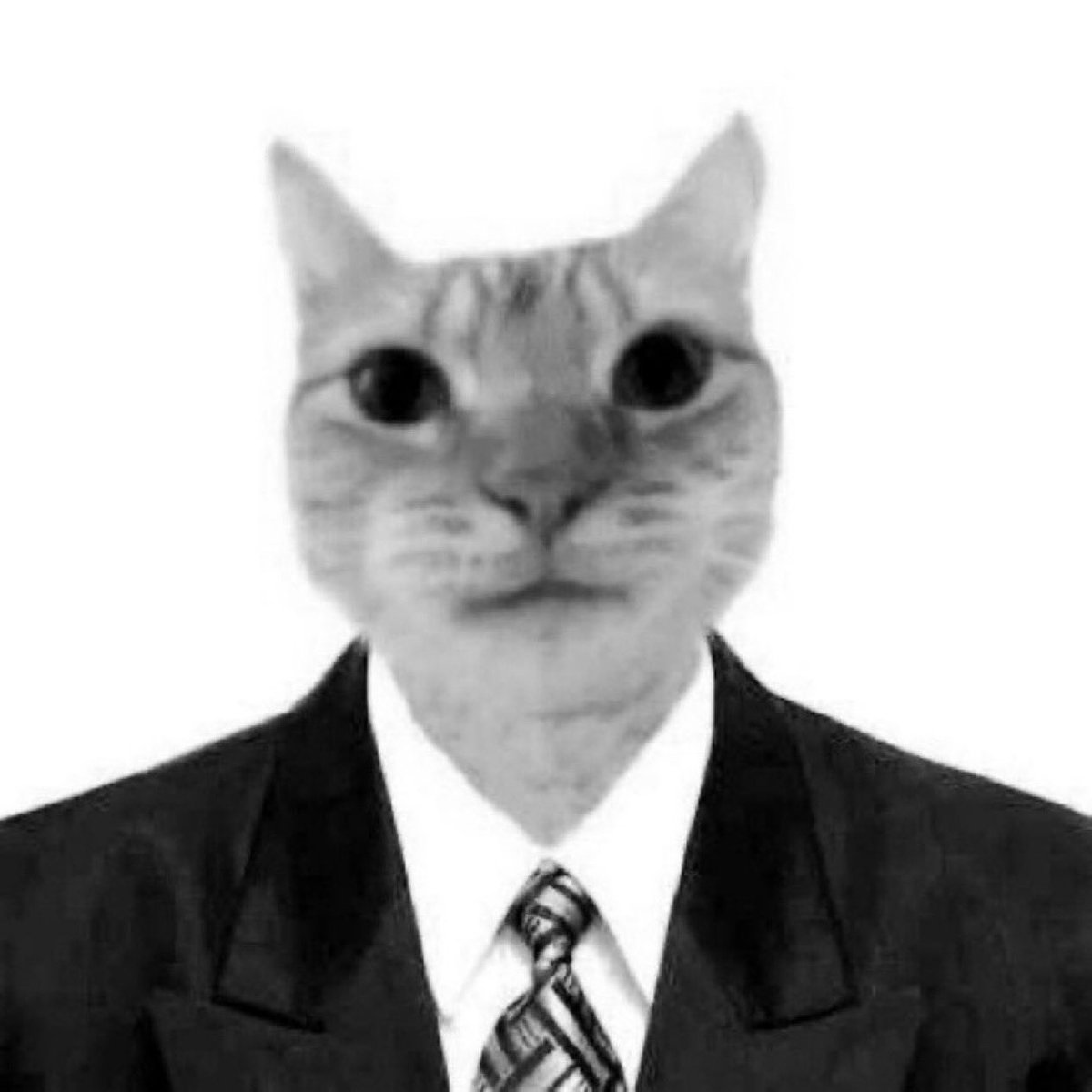 Miky tweet media