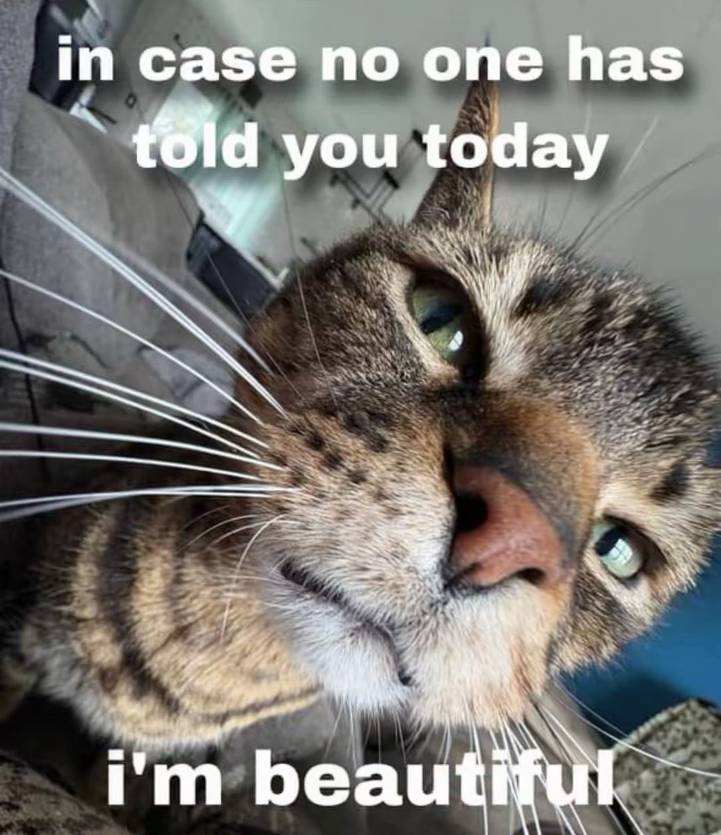 💙Spider-Cop💙 SPIDERMAN IS BACK 😝 tweet media