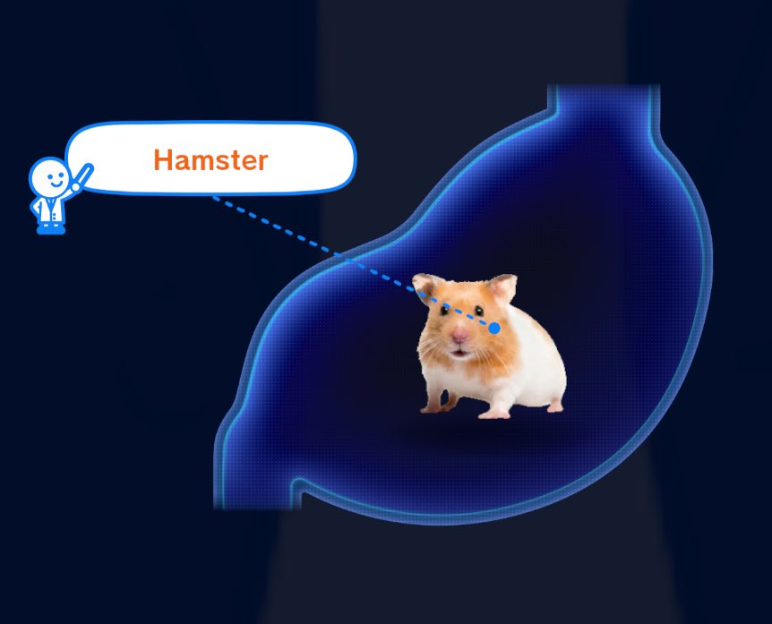 evan shady facts tweet media