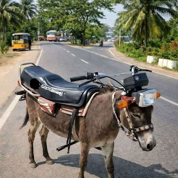 Paul morane tweet media