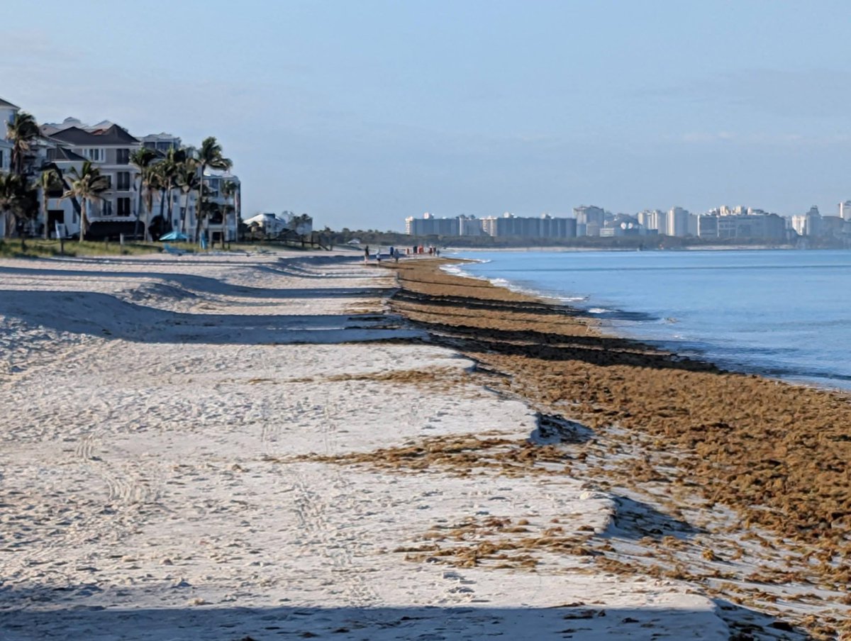 Andrew Shipotofsky tweet media