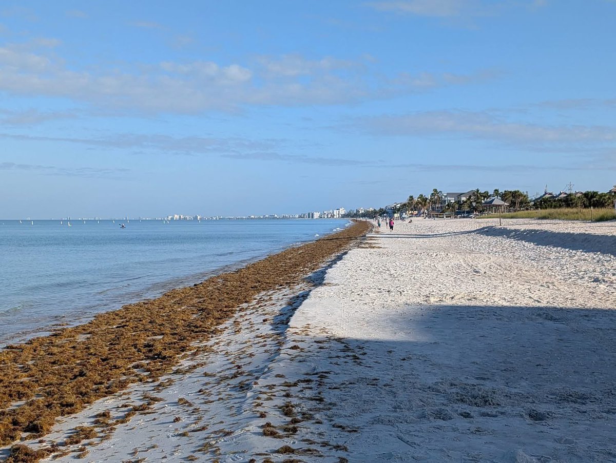 Andrew Shipotofsky tweet media