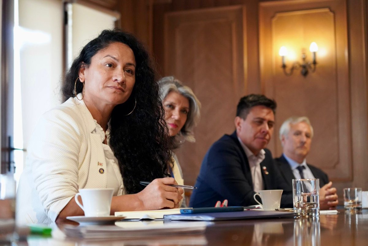 Ivan Poduje tweet media