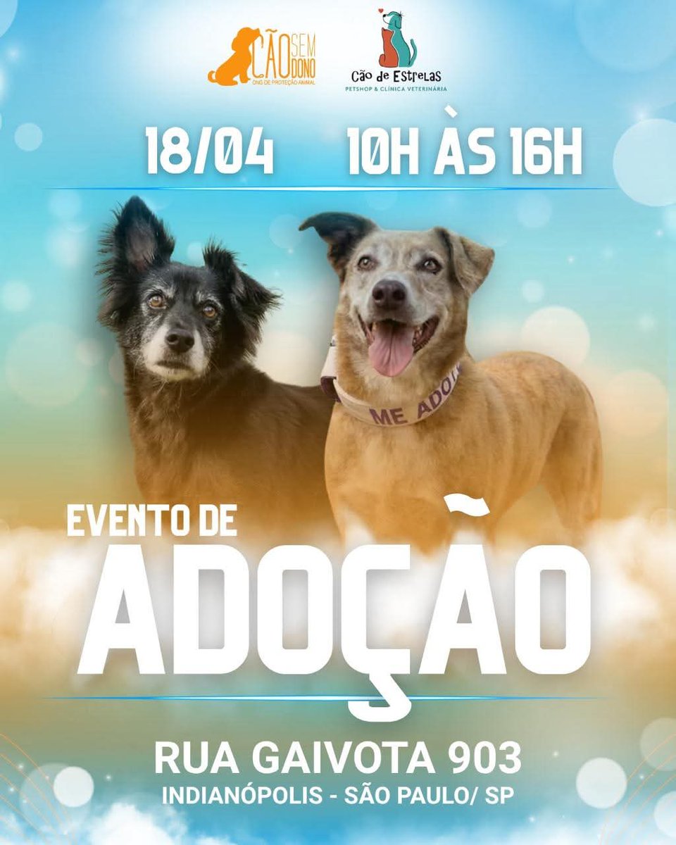 Lúcia Tarouco. TERCEIRA CONTA🙏🇧🇷🇱🇷🐾❤️🎵🎼🎶☮ (@luciatarou38619) on Twitter photo 