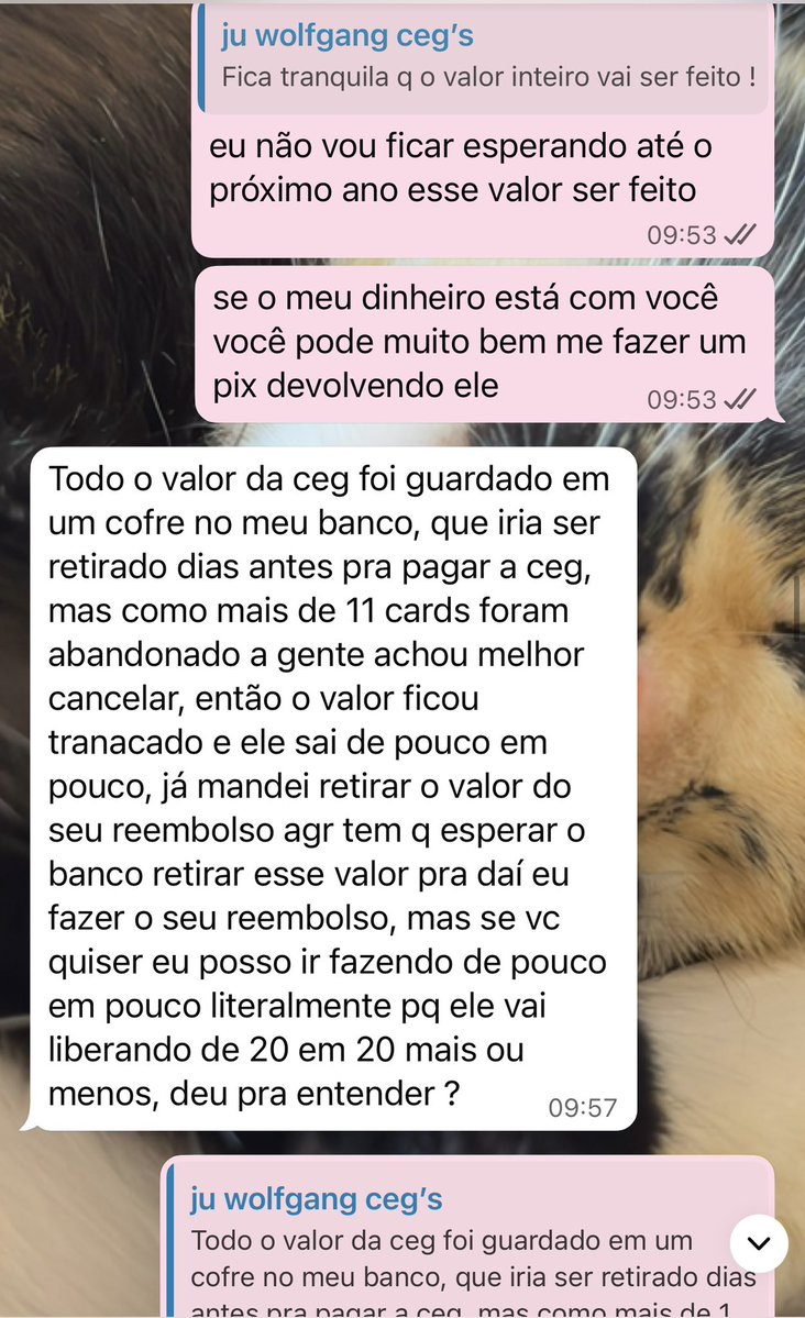 𝓶adu ꫂৎ ⋆˙⟡ tweet media