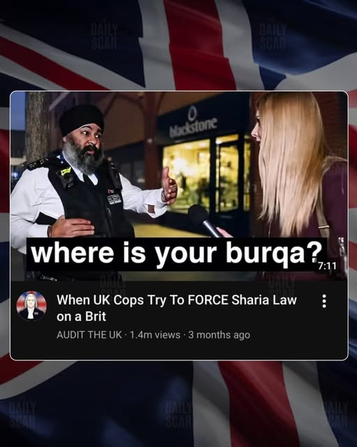 dave lawrence 🐟🐟🐠 tweet media