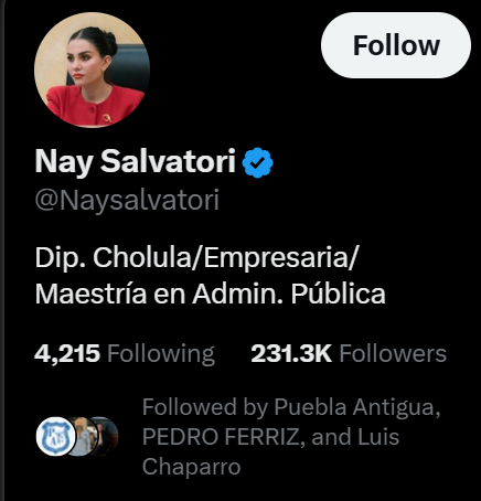 sirguzman83's tweet photo. @RicardoBSalinas @Naysalvatori @JLG_PARRA es oatra duputadita de Puebla la que defiende l sobrino de Marín mejor conocido como #LordPendejo https://t.co/WjacXHvzvU