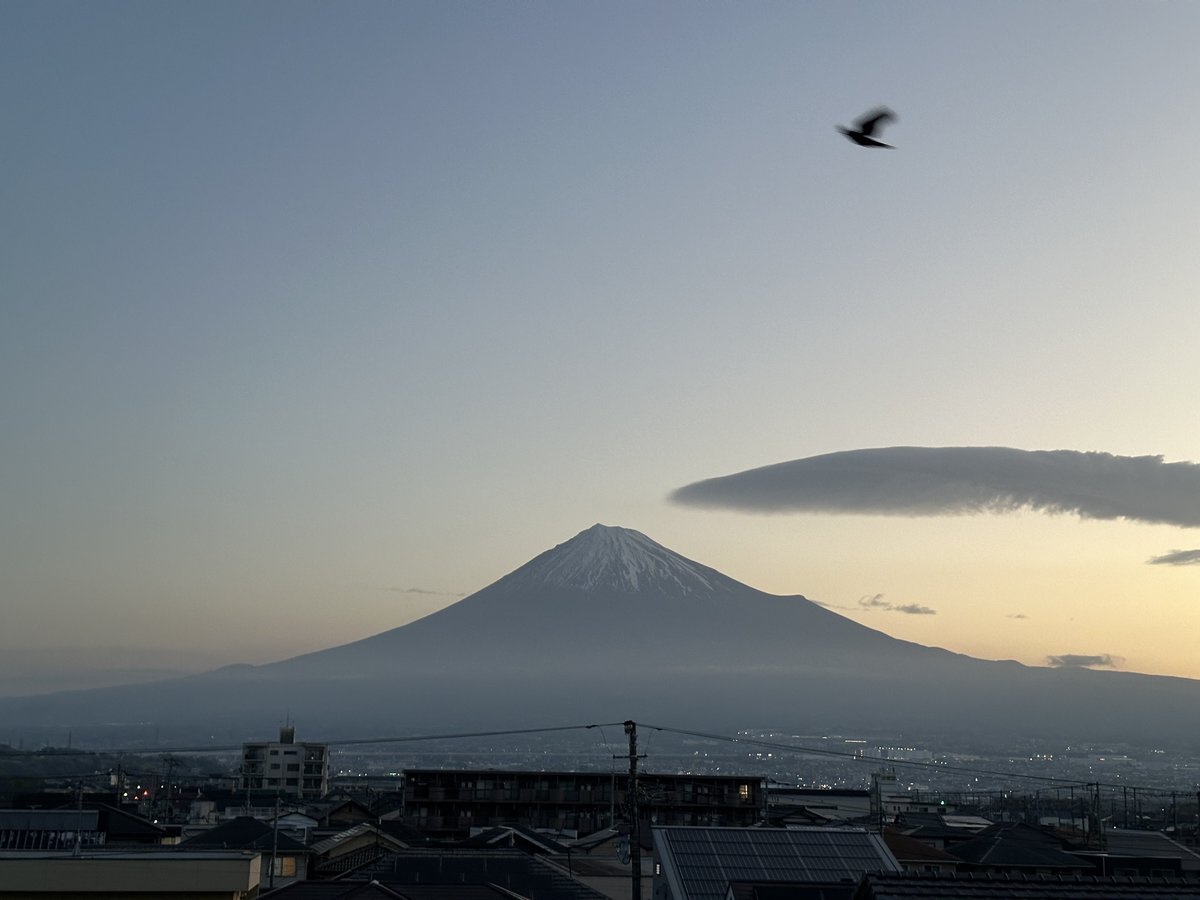 ヤマヤマ　🌸🌸🌸 tweet media