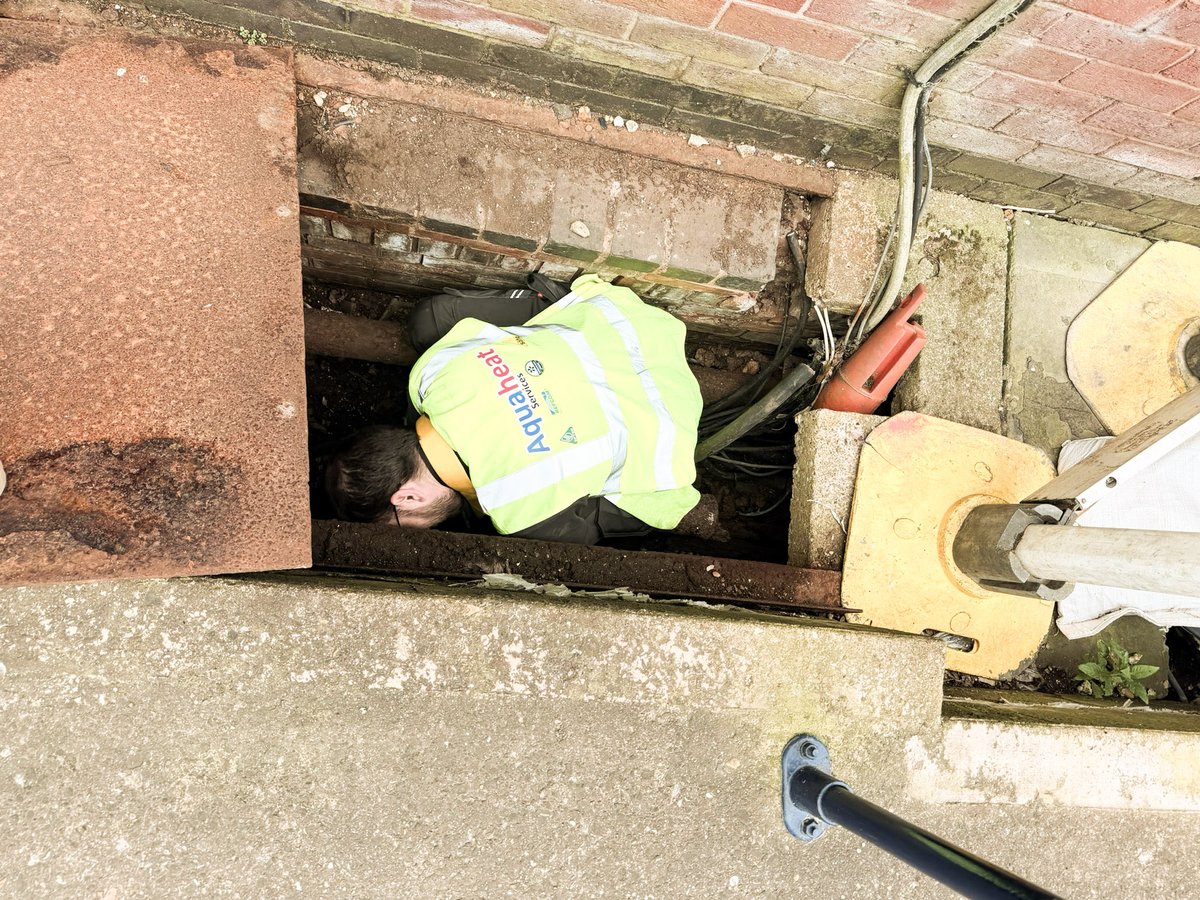 Dr Boilers 🐰 tweet media