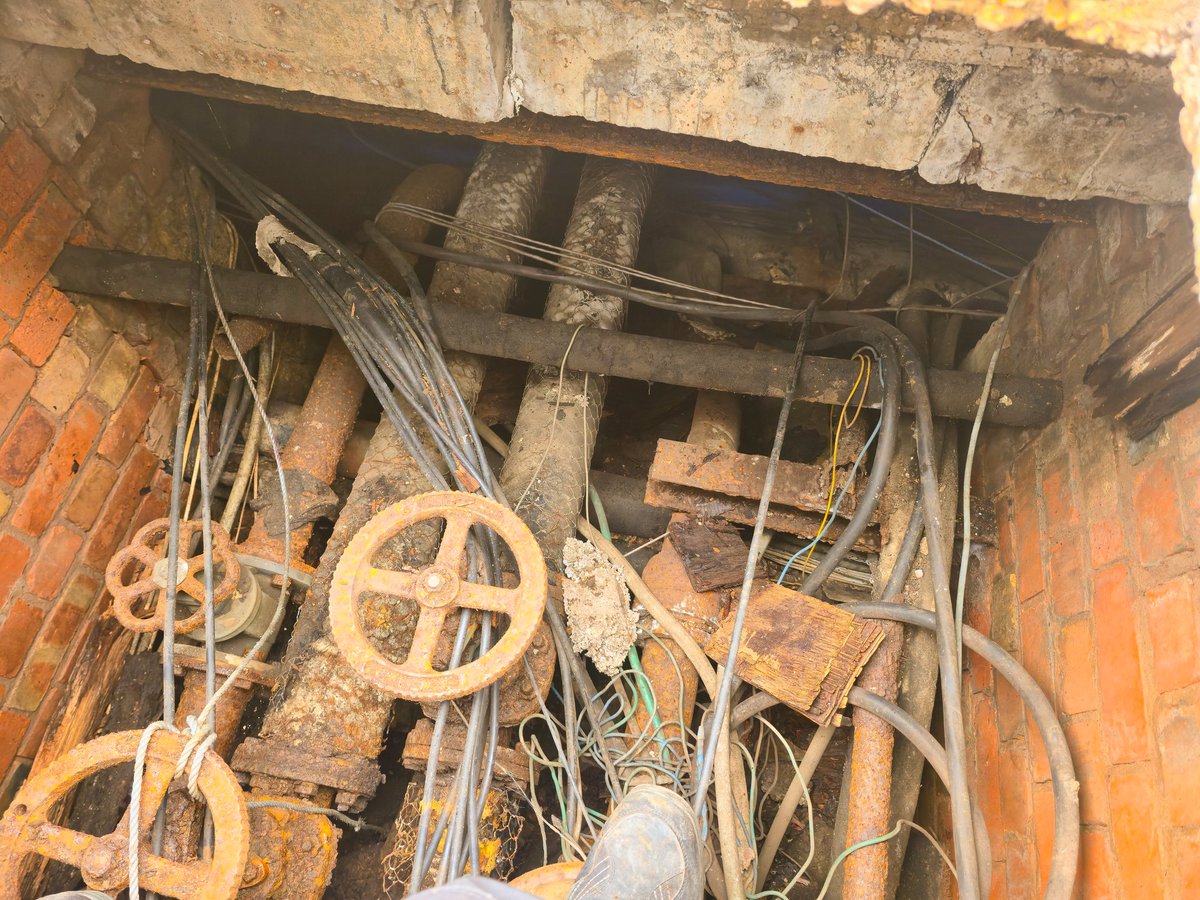 Dr Boilers 🐰 tweet media