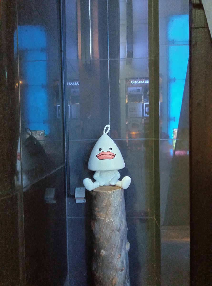 ポメラニアン♥️ tweet media