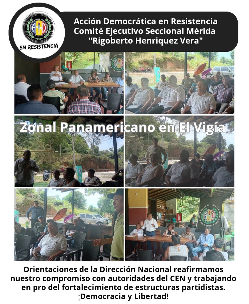 Fortaleciendo nuestro partido <a href="/ADemocratica/">Acción Democrática</a> en Resistencia.