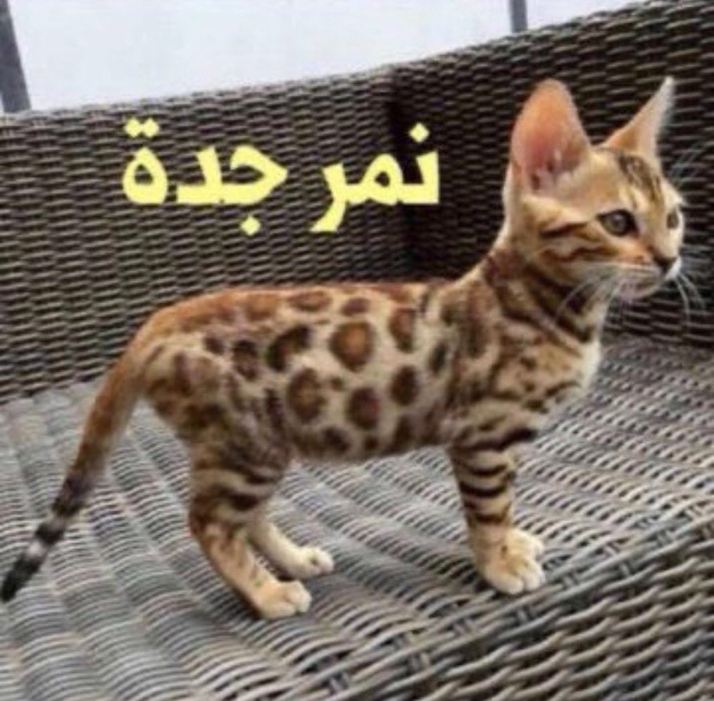 ان شاء الله تكبر وتأخذ اسيا