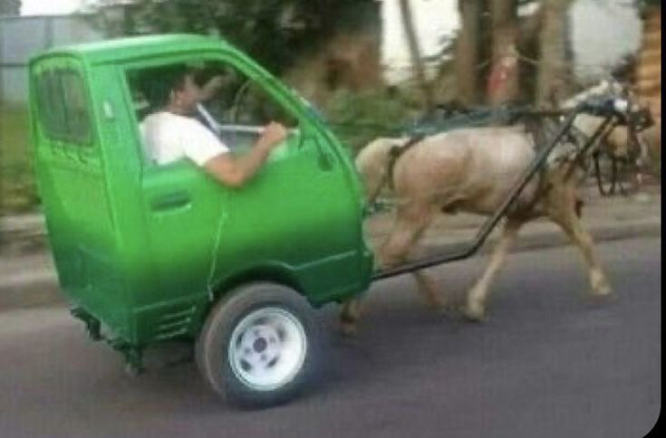 บลูอีสสส ( เสี่ยแดงคอกม้า ) 🫐💚🩷 tweet media