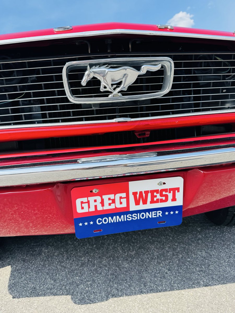 April 17th - National Mustang Day!
November 3rd - Election Day!