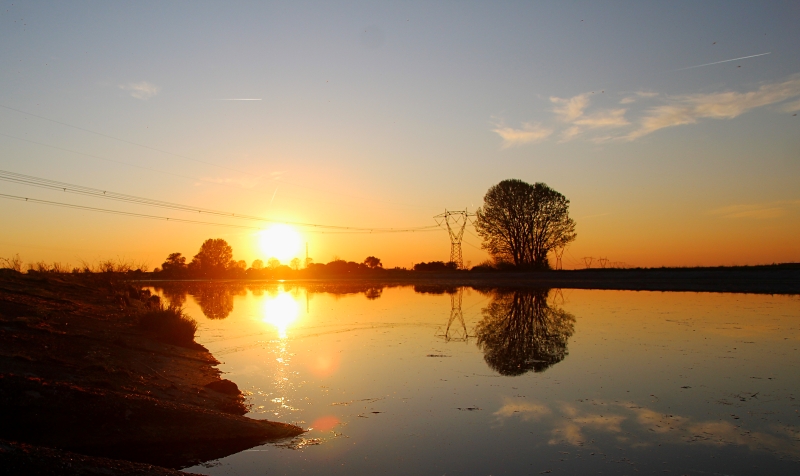 i9663vi's tweet image. Il magico Tramonto.

stepart.it/index.php/ffff…

#Stepart #nature #fotography #naturemagic #fotographies #naturelove