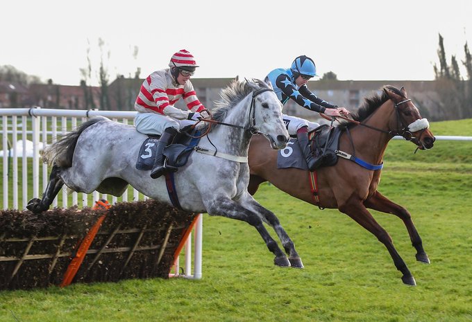 🐦Pigeon🐎Island🐦 tweet media