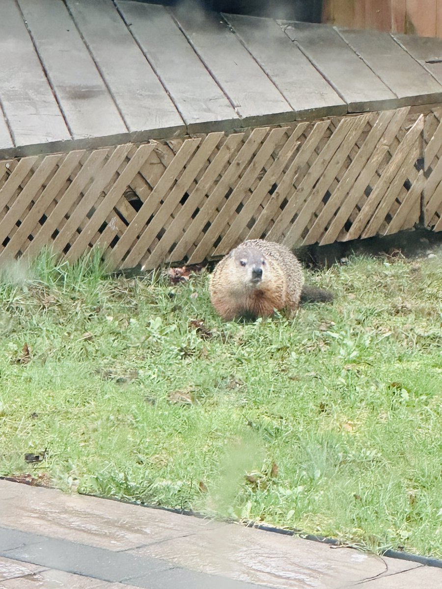 TORJA編集部 | カナダ本部 tweet media