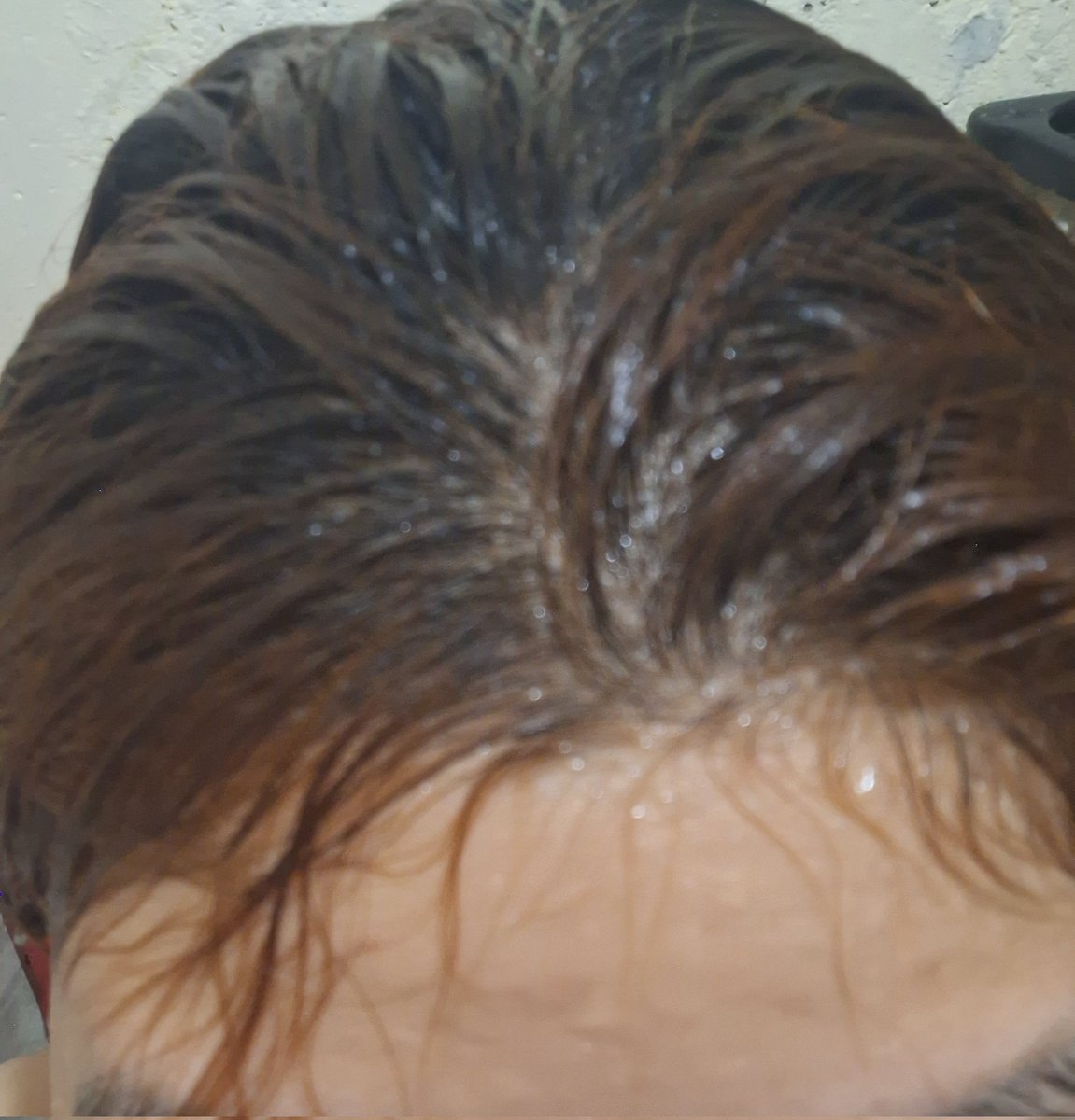 Stelleys✨ tweet media