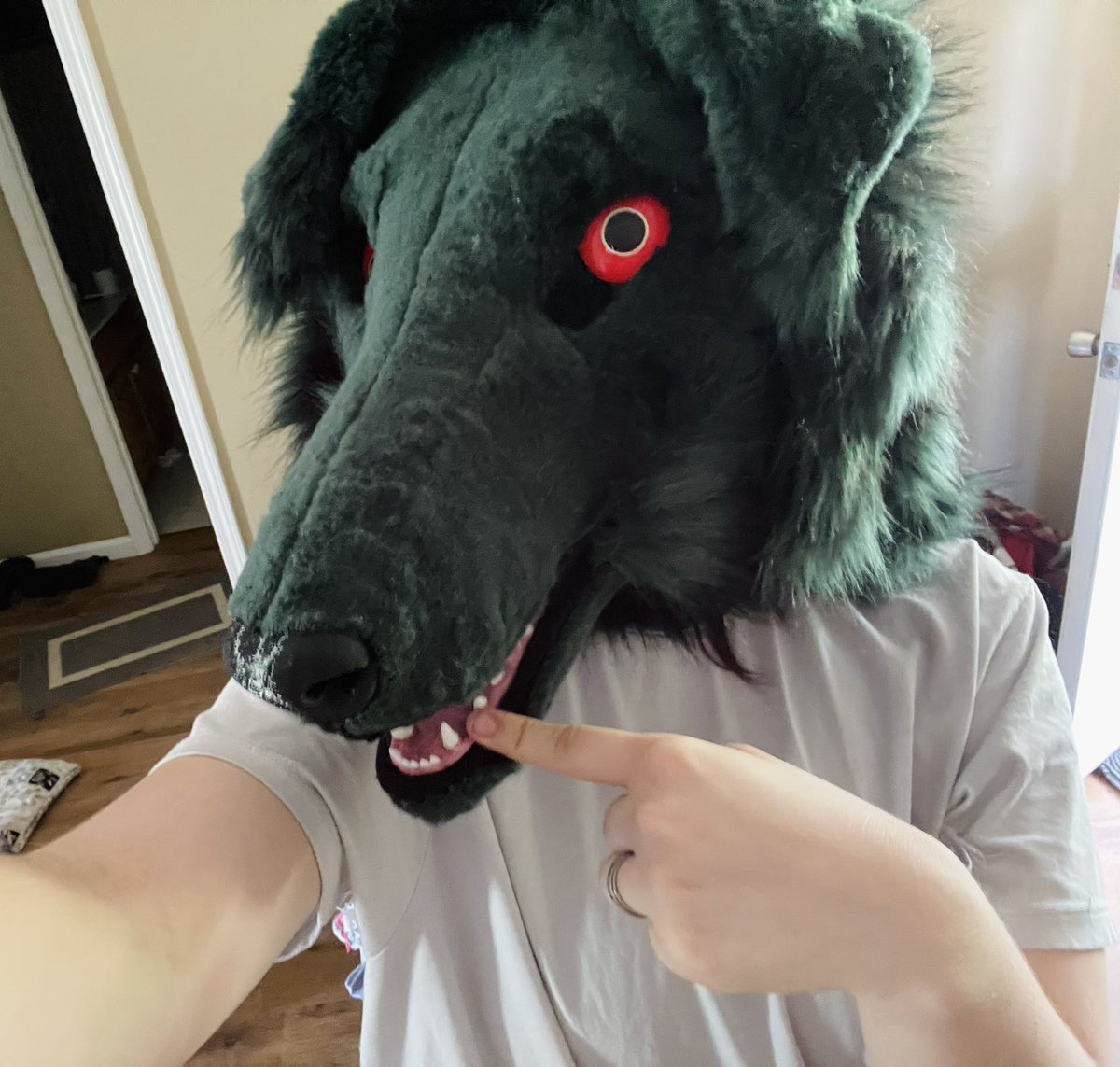 graham-payser / edacity ⚢ tweet media