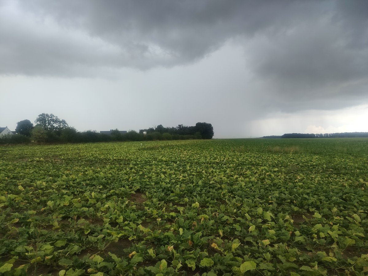 DumDum #NeRienLaisserPasser tweet media