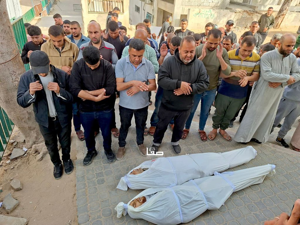 Motasem A Dalloul tweet media