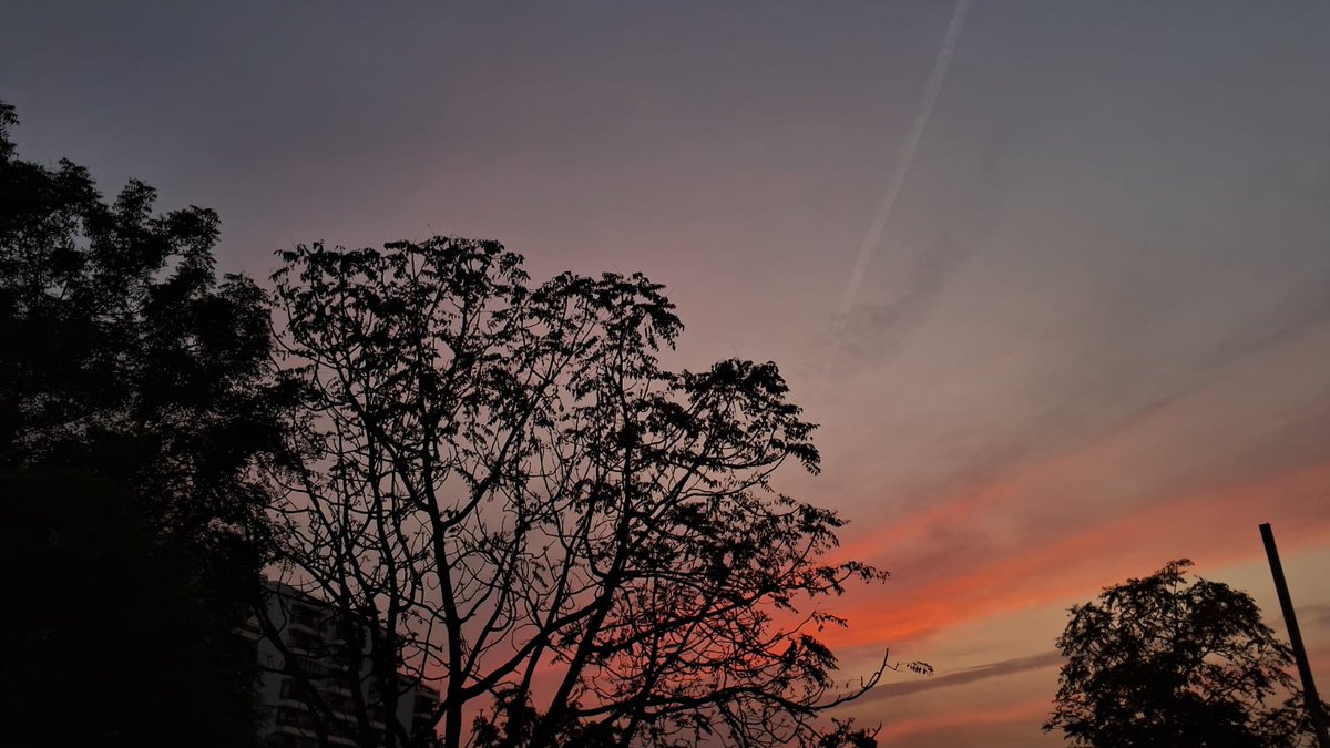 mandira9051's tweet image. 🚀 17th April 2026
✅ 1 grid question solved
✅ Preparation for the tomorrow exam
✅ Aptitude preparation
#LearnInPublic #GrowthMindset #Tech