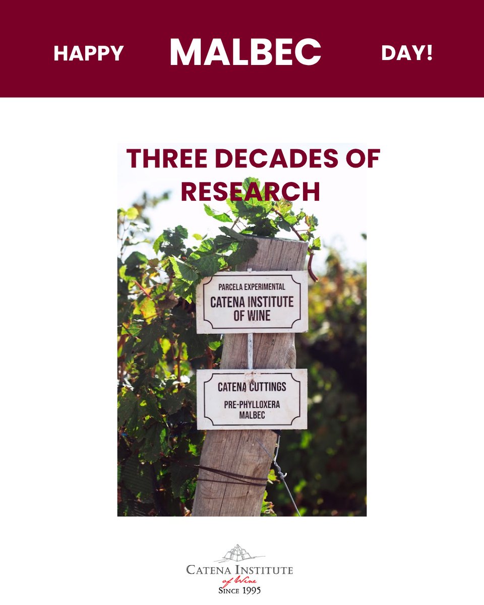 Catena Institute of Wine tweet media
