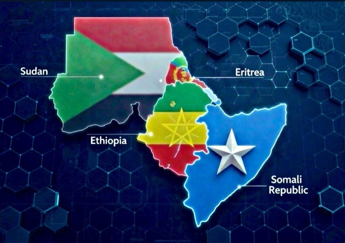 LIXLE🇸🇴 tweet media