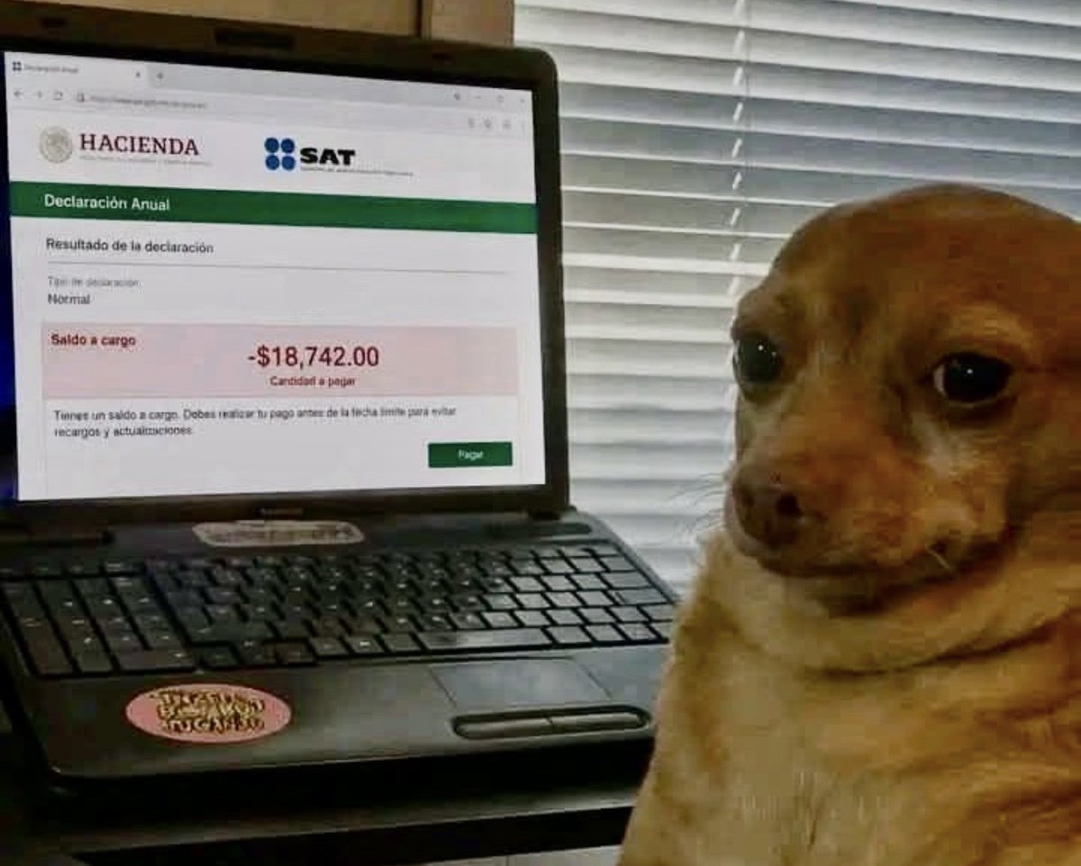 Yo haciendo mi declaración pa ver si tengo saldo a favor.

EI SAT:
