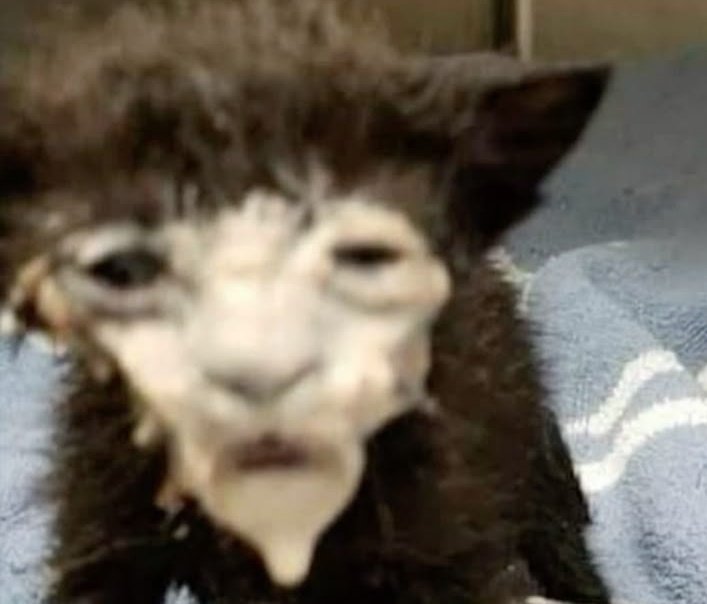 Ari con mascarilla // Rivers con mascarilla