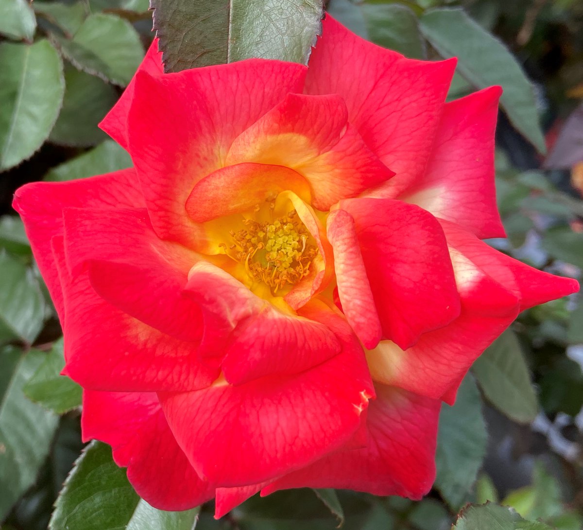 山本裕史 tweet media