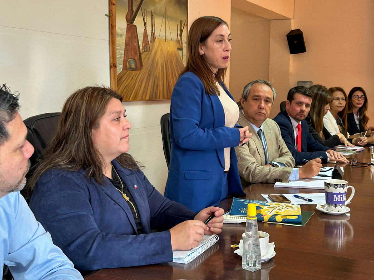 Delegación Presidencial Provincial de El Loa tweet media