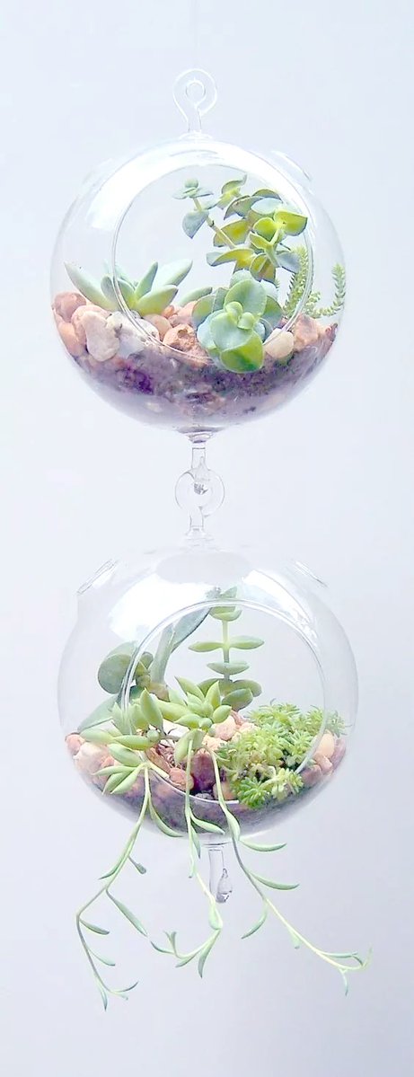 Andre Laffite tweet media