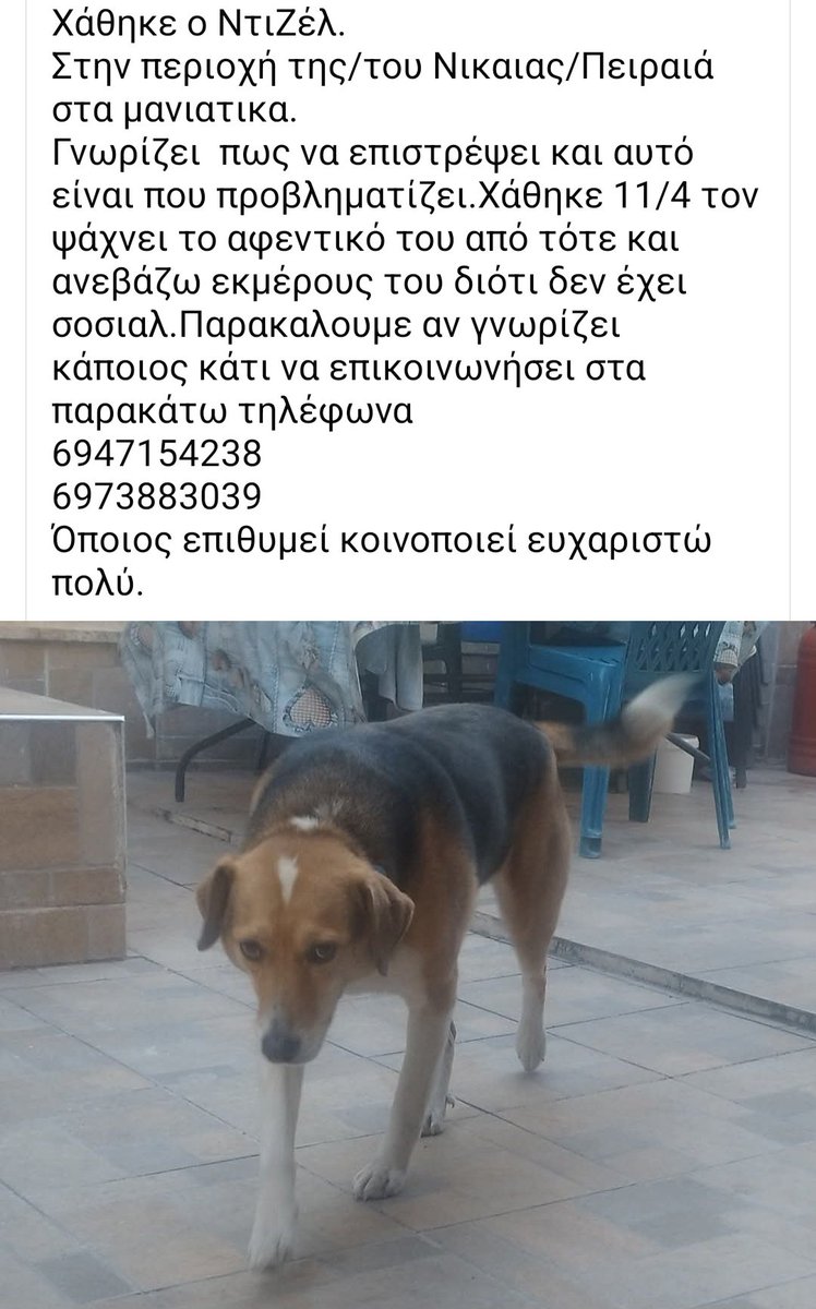 Χλε_Μπονα Σαμερ tweet media