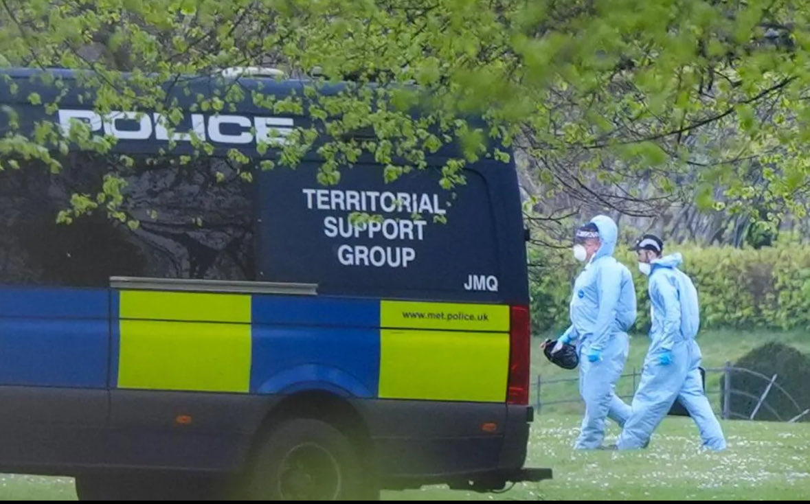 The Cube tweet media