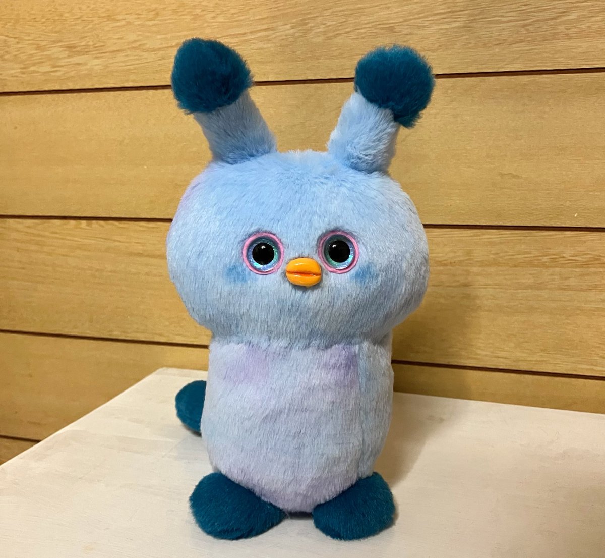 ʜᴜᴋᴀɴᴢᴇɴ tweet media