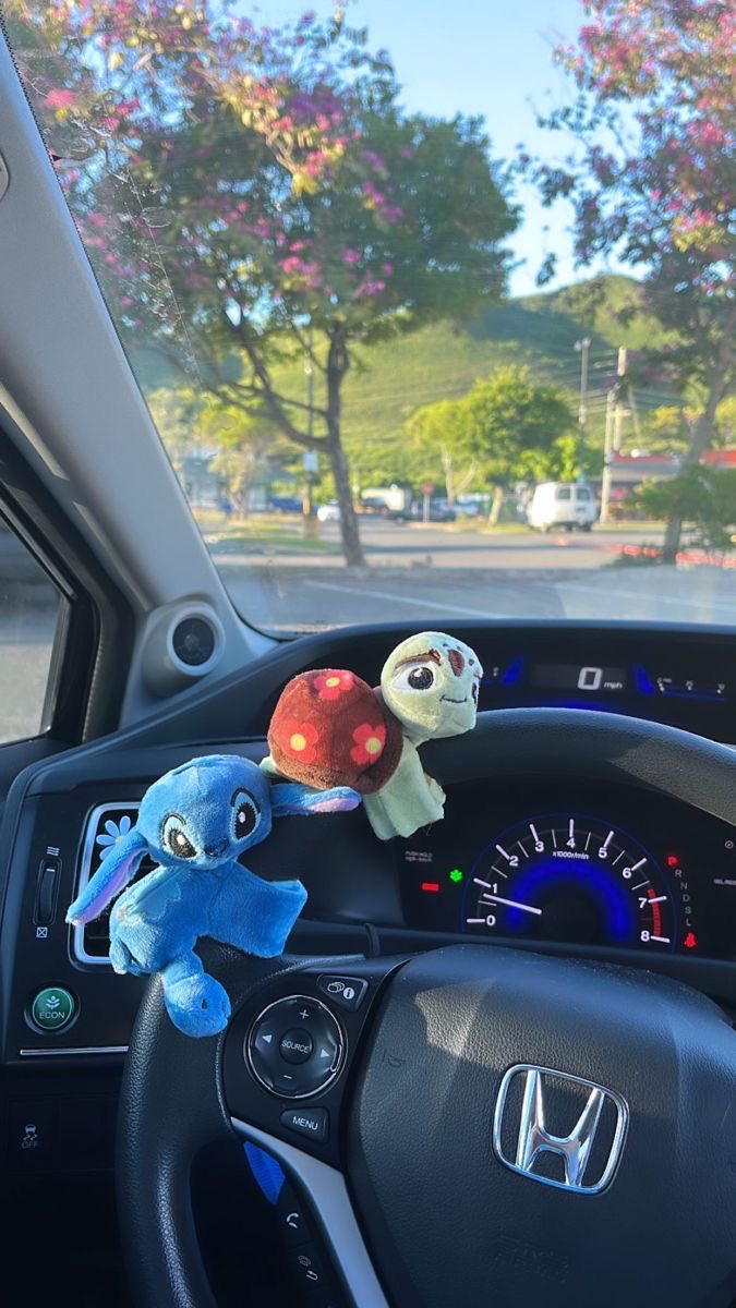 Até o carro do pediatra tem bichinho de pelúcia