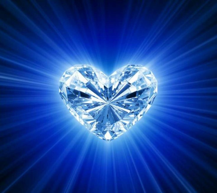 YEHI 'OHR tweet media