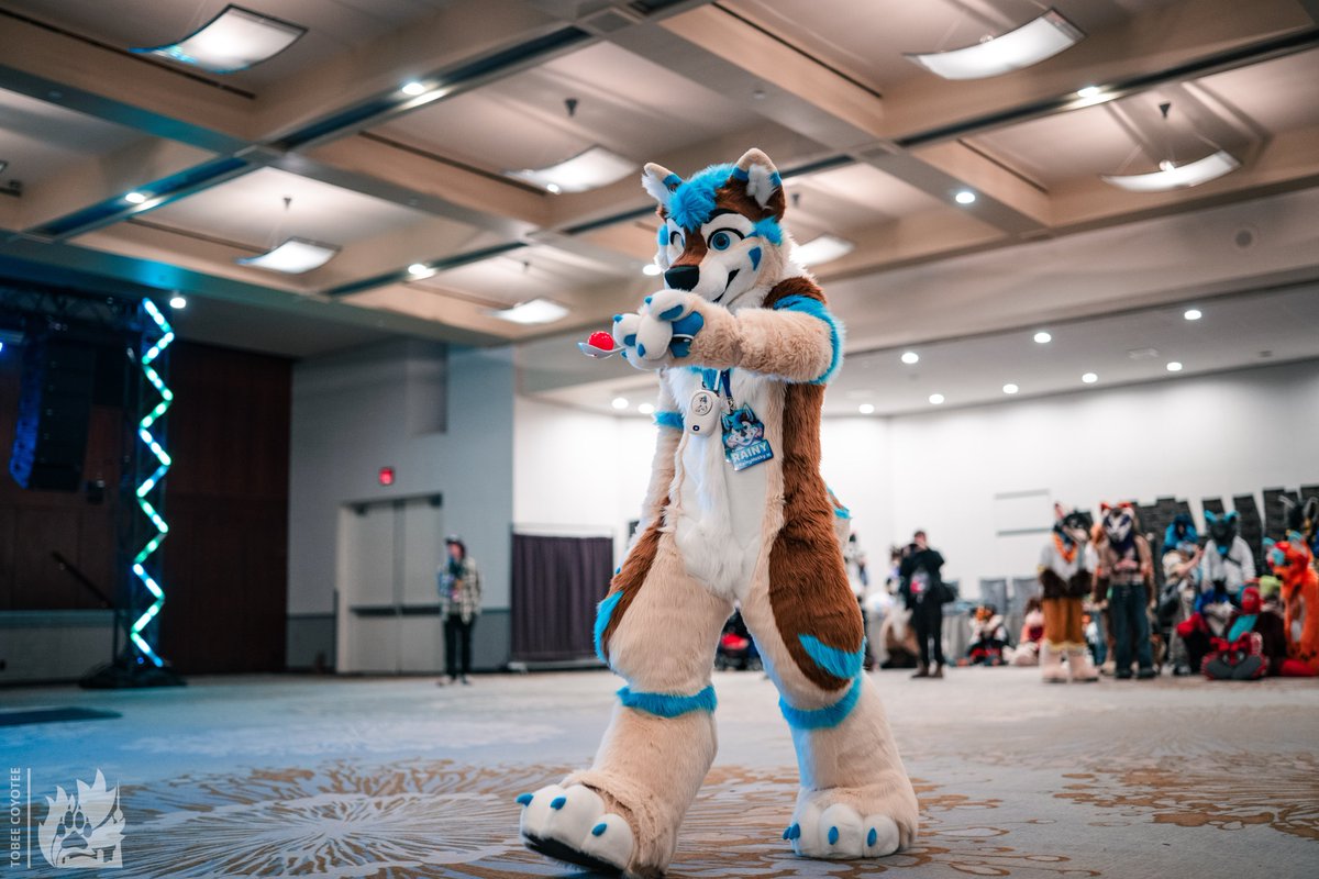 RainyHusky's tweet photo. Slow and steady wins the race! #fursuitfriday

📷 @tobeecoyotee 
🪡 @NordstromKaiju  

#furnalequinox #fe2026 https://t.co/xXEGaOkaGX
