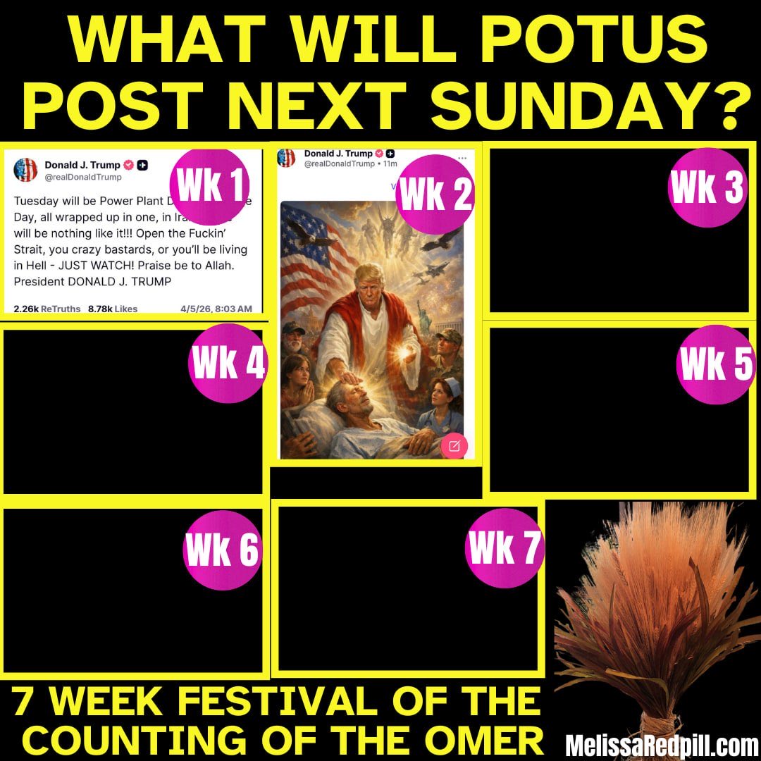 Melissa Redpill tweet media