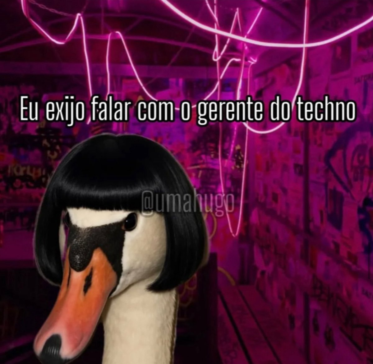 gerente do techno tweet media