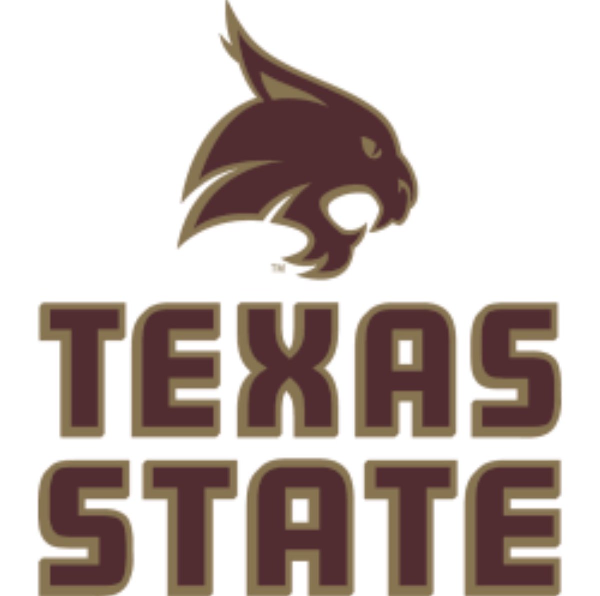 HCCscottieFB's tweet photo. Thank you @TXSTATEFOOTBALL for stopping by and talking with our athletes‼️ 

#ScottieStandard
#RecruitHighland
#FAMILY https://t.co/FBF7zqVgbz