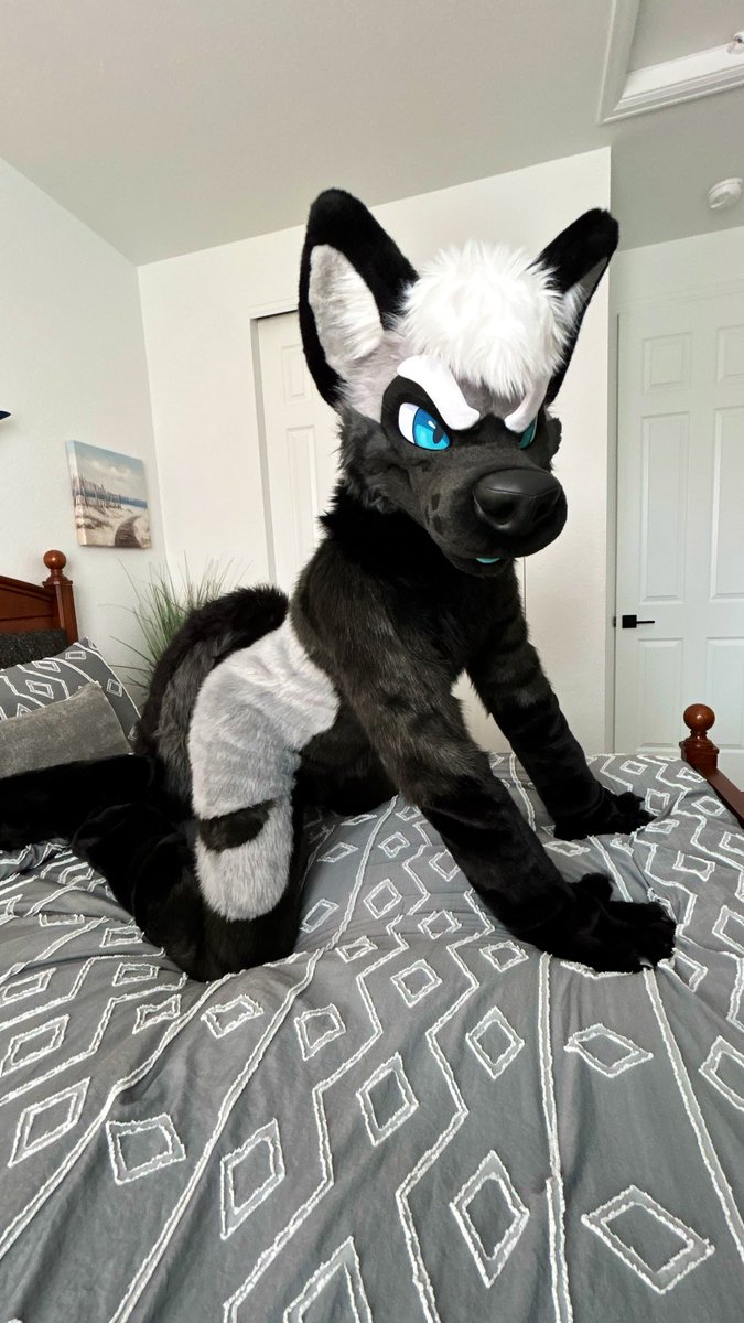 Lae @ Furlandia tweet media