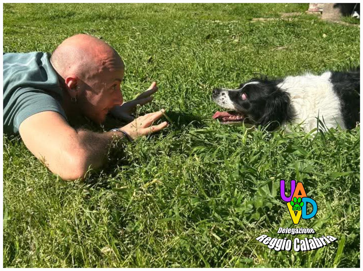 un atto d'amore odv tweet media