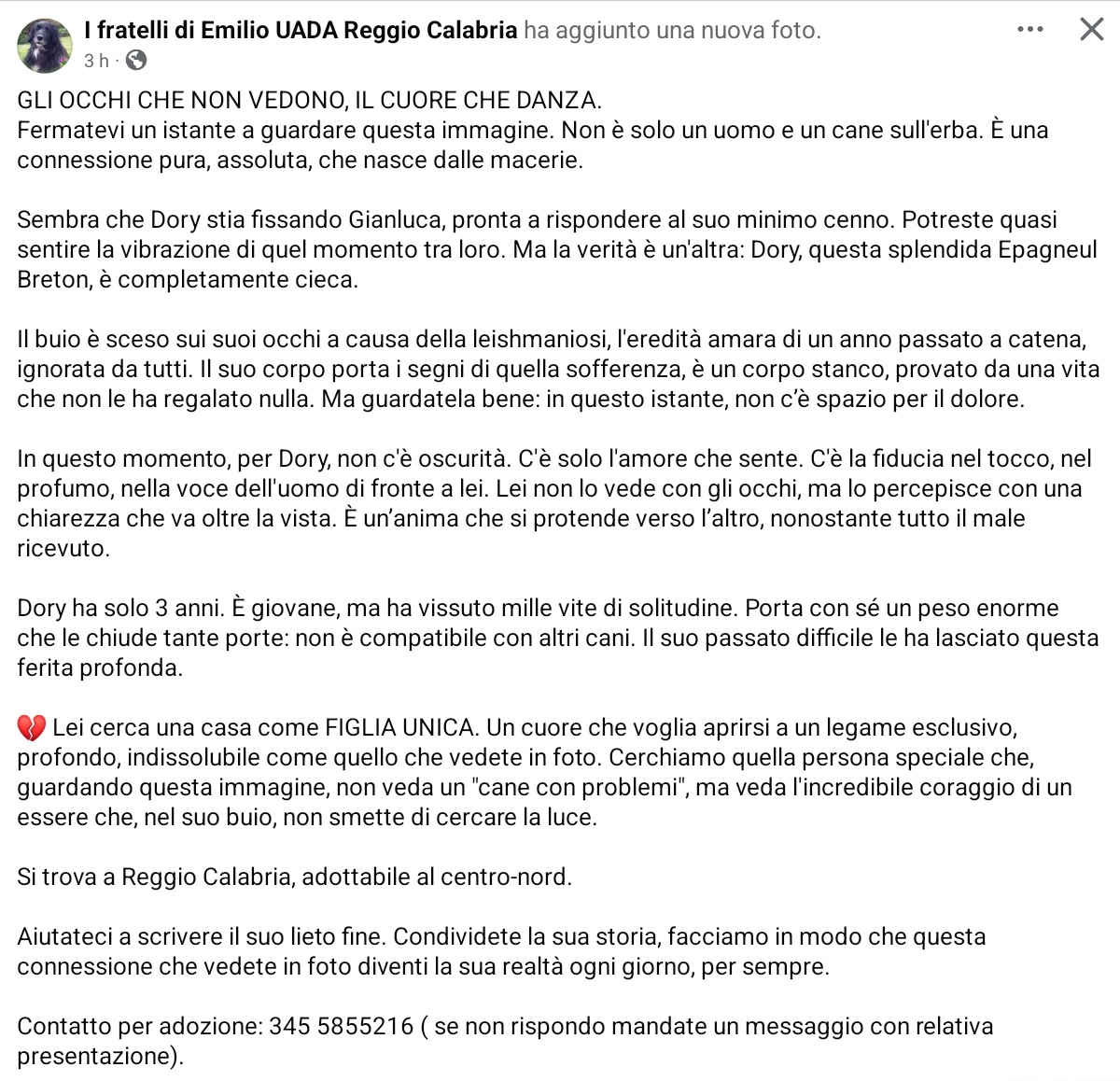 un atto d'amore odv tweet media
