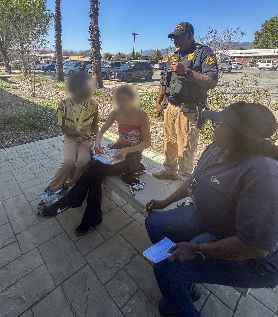 SBC Probation tweet media