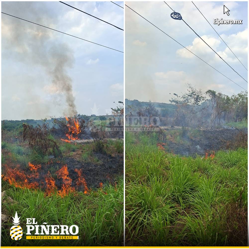 ELPINERO's tweet image. #FOTOREPORTE 📸 | Incendio a un costado de la 145 moviliza a Protección Civil

➡️ Se reporta un incendio a un costado de la carretera federal 145, en el tramo #LomaBonita–#Tuxtepec, a la altura de la laguna Virginia.

➡️ Elementos de Protección Civil trabajan en la zona para
