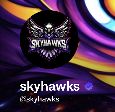 SKYHAWKS tweet media